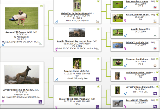 Screen Shot 2017-06-30 at 19.49.29