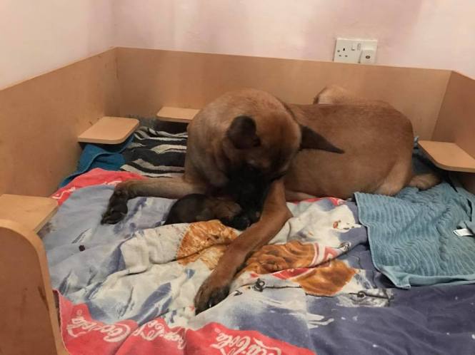 15698248_1165654953484332_7286911342815823626_n