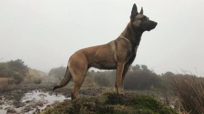 16807164_10210001814820436_4370067534268596143_n