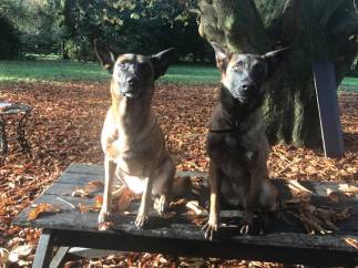 23131858_1455366487846509_616651645687271827_n