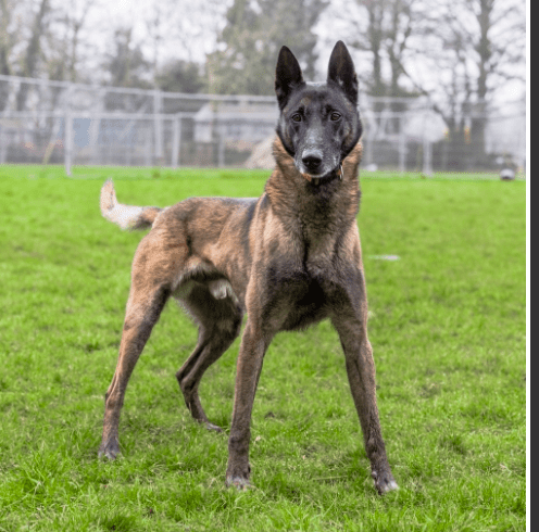 Screen Shot 2017-02-27 at 18.52.30.png