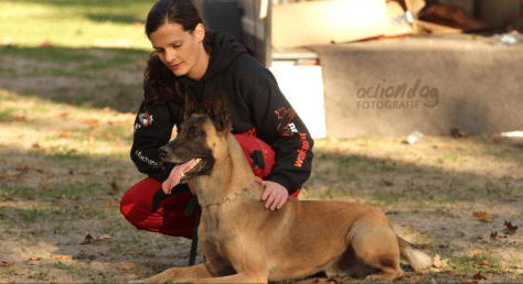 Screen Shot 2017-05-21 at 20.23.34