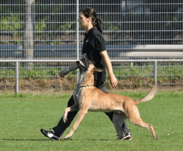 Screen Shot 2017-05-21 at 20.24.01