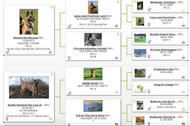 Screen Shot 2017-10-15 at 11.22.43