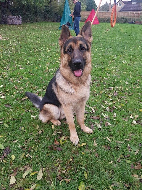 23805491_1999934313366605_893972350_n