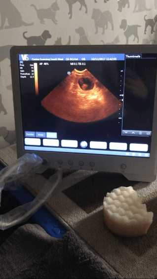 99D53F65-BC23-4A31-9DB4-39933BAD9A31