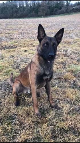 23843333_1474423505940807_5382722991278766631_n