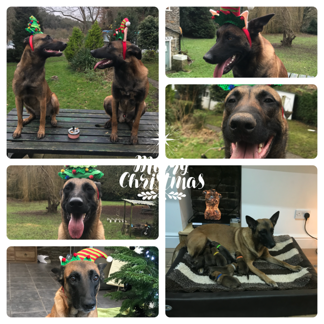 681F8C68-A5FF-485E-8728-5BE9DCF14133