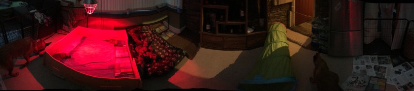 ABDAC17B-E73E-493D-8C4C-0169A1DB732E