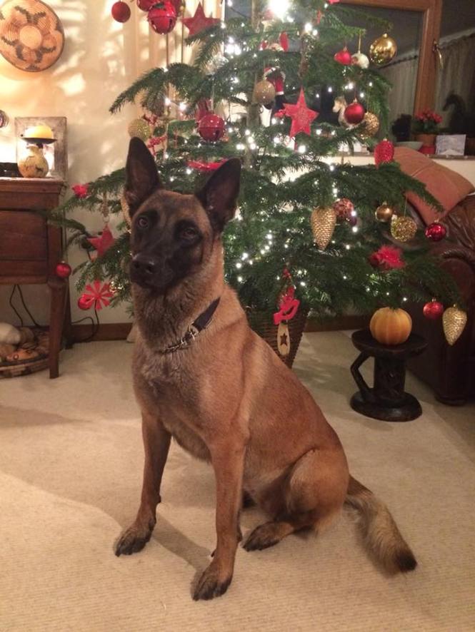 25498035_1496703653712792_386705265422448791_n