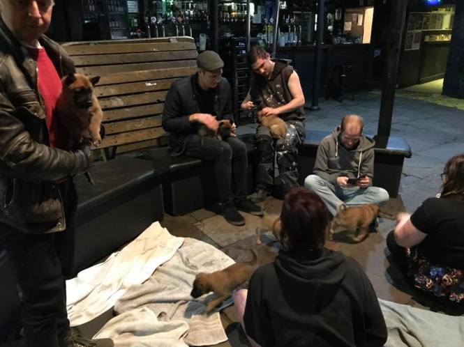 26239392_1520257448024079_3157886753169813532_n