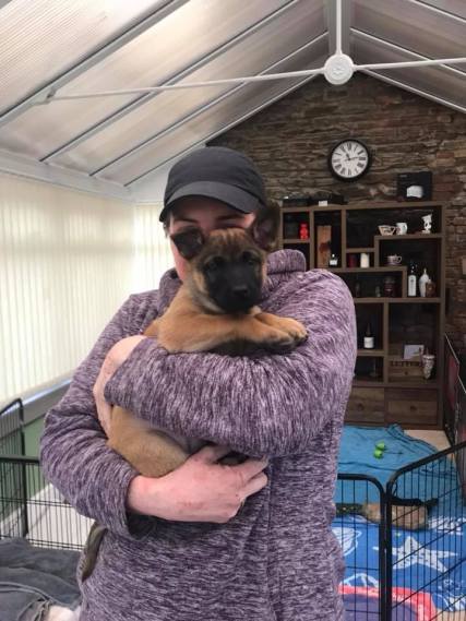 27067075_1533091883407302_3616569559276213554_n