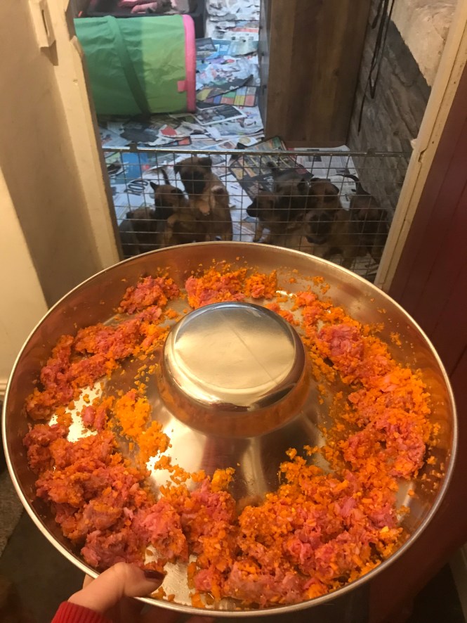 31927FC5-BC98-4A9A-84B8-D49F71EEEE81