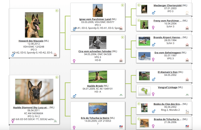 Screen Shot 2018-01-30 at 12.09.37