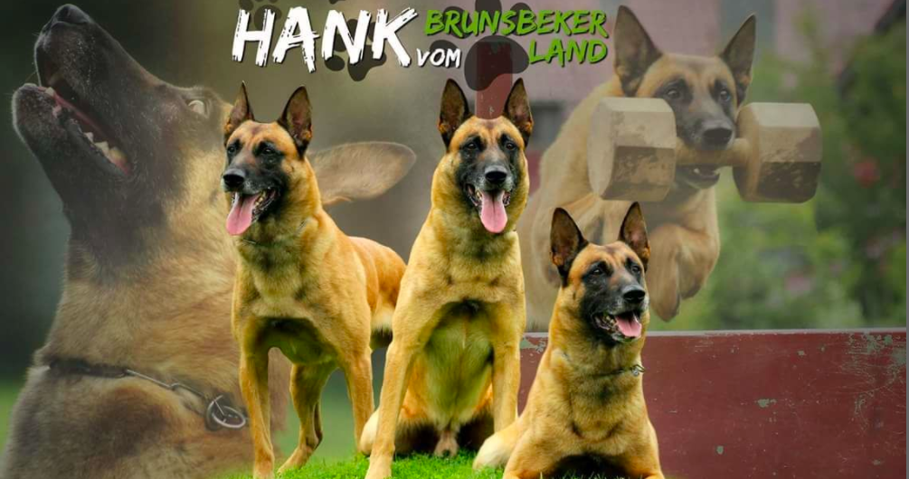 Screen Shot 2018-02-27 at 11.21.28