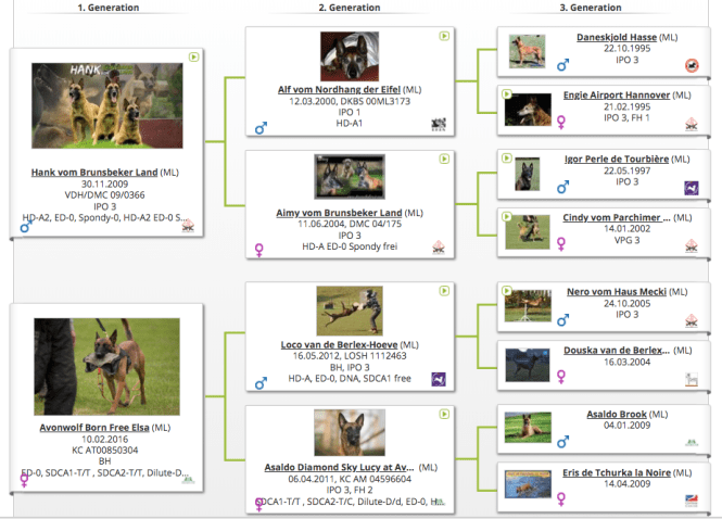 Screen Shot 2018-02-27 at 12.14.00
