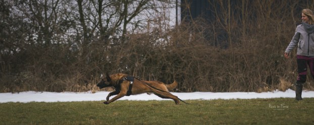 Avonwolf Bite Workshop 4_3_18-13