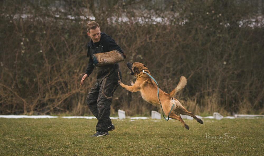 Avonwolf Bite Workshop 4_3_18-32