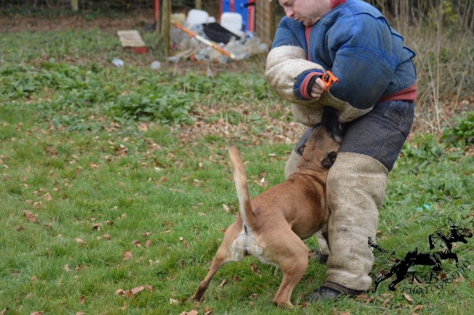 B02C06C1-F2A9-4ECA-817A-B6F0D88F26DF