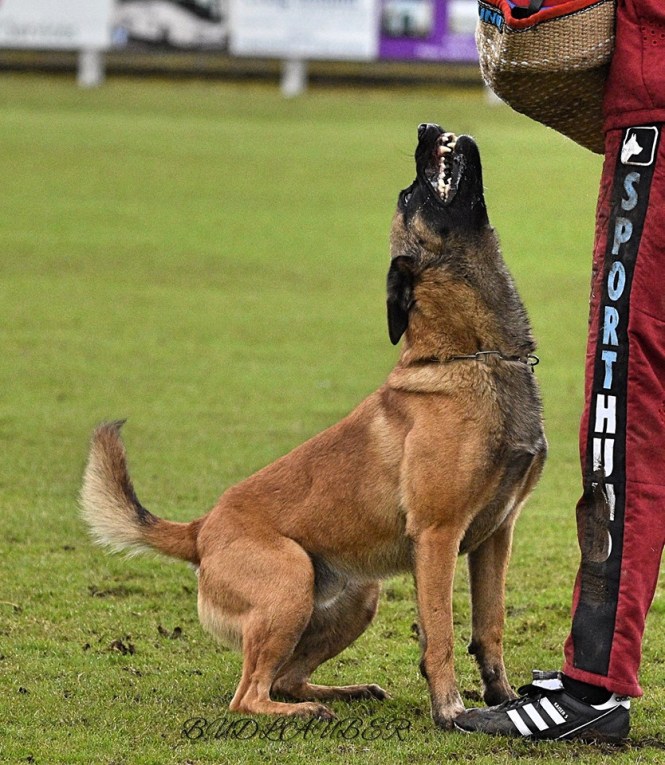 30629162_10214907111728040_760187328533626880_n