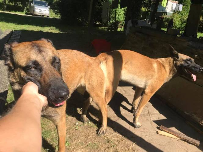 36188949_1684521948264294_6956972199106314240_n