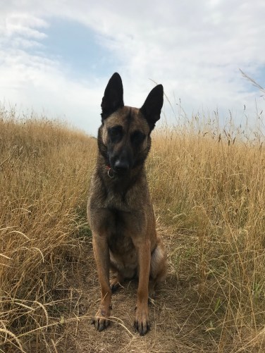 660AB8AD-CDA0-4629-B987-98827EEF8B21