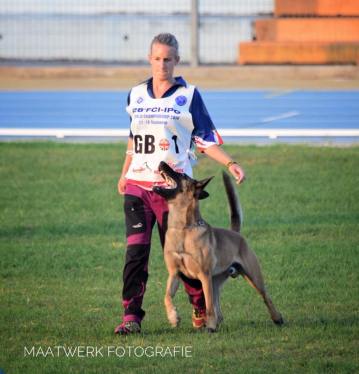 41585561_1798523906864097_4803966326970253312_n