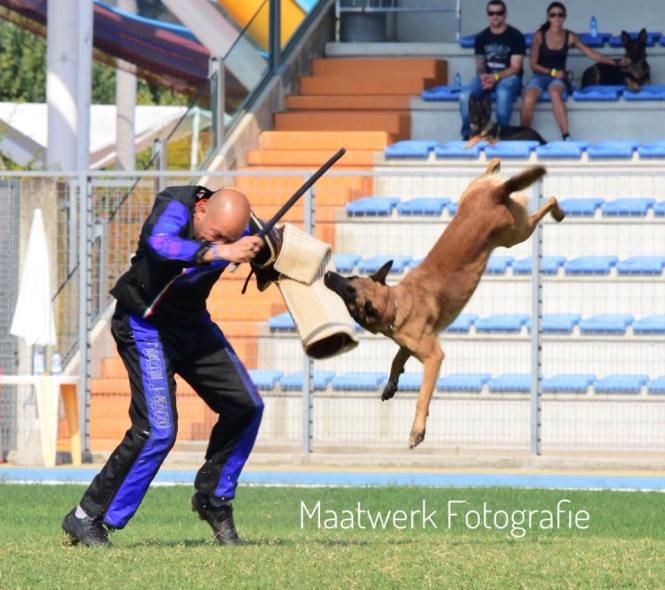 41889671_1803166913066463_8533370190539259904_n