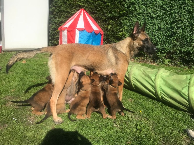 BBCBC104-4C82-4EE4-AB57-1E12F2D70D09