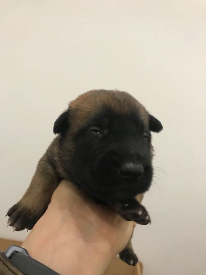 E6A0FCA5-9ACA-4D7A-B7D0-4E530D91FCEE