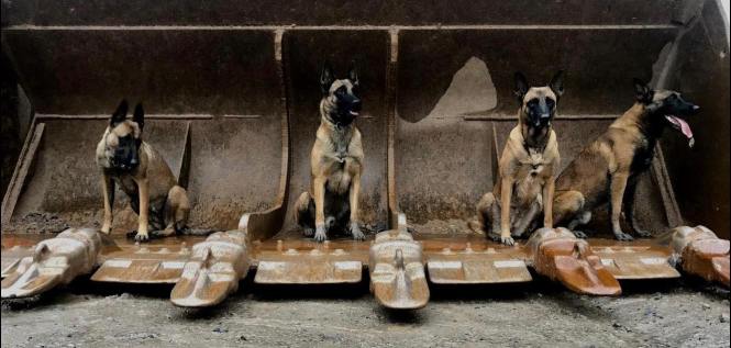 47438253_1901589906557496_1040274987858001920_o