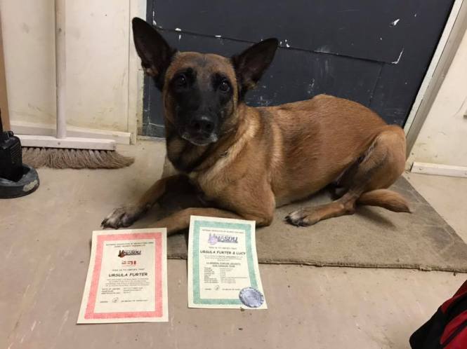 48406283_1916839778365842_4207435604809482240_n