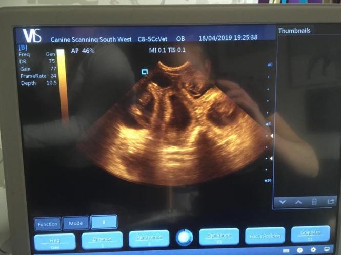 57247045_2091783194204832_6598133269277966336_n