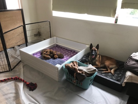 61779403_450645012165739_328167202568011776_n