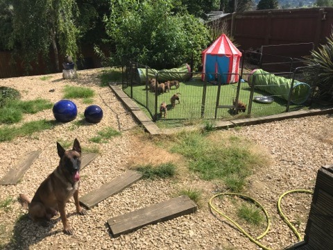 64940185_347418649487071_7928807892419870720_n