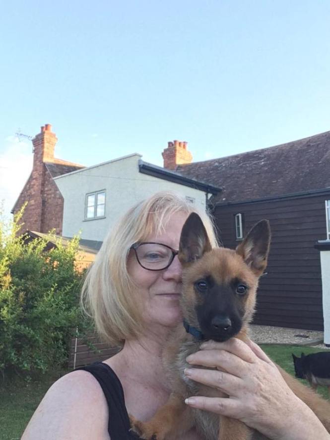 66328842_2218636051519545_7479649721661784064_n