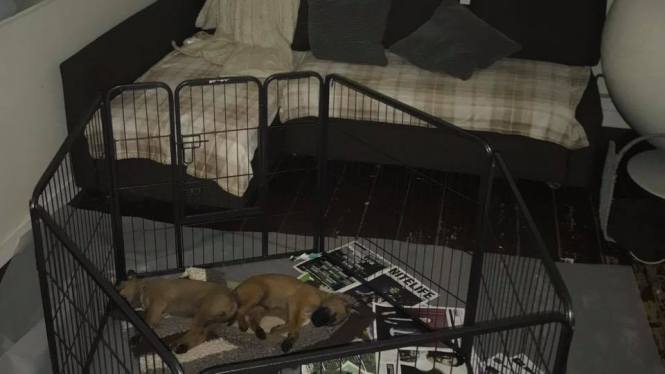 66460429_2228767030506447_2781336179969097728_n