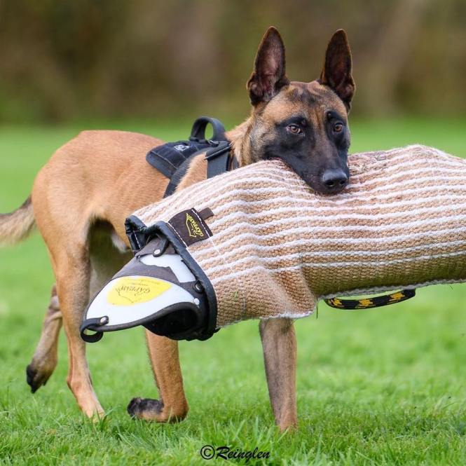 72209016_2453458491370632_7942687757841727488_n