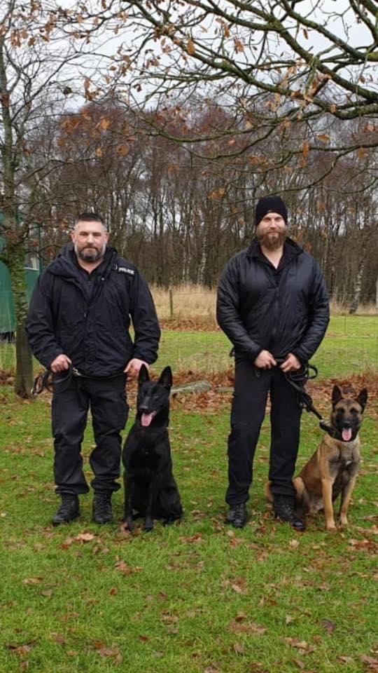 78787990_2513045412078606_6804771653491359744_n