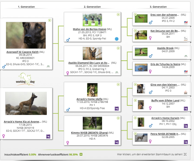 Screen Shot 2019-12-21 at 10.48.44.png