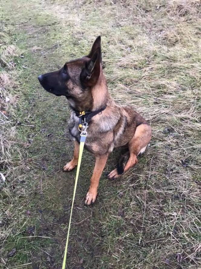 82405708_2590756514307495_7377222924974948352_n