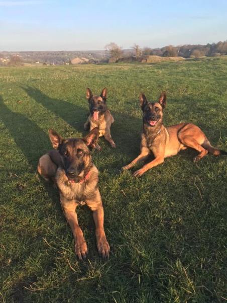 82845043_2603334073049739_589178206301454336_n