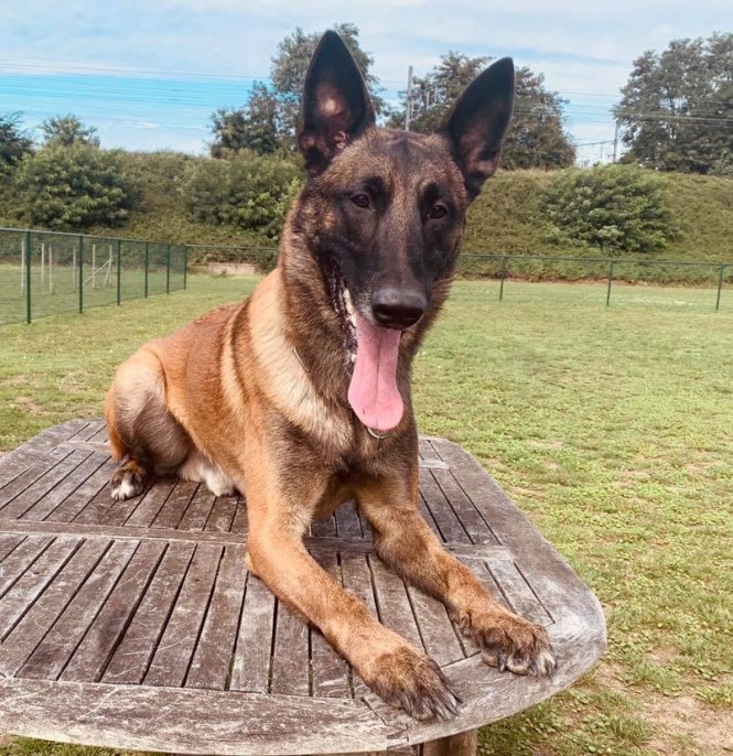 A5CC818E-3565-41EB-9F21-E10F3DDA877C