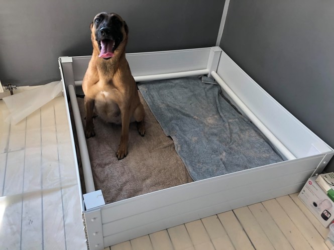 92583627_169115537548034_4808488356302290944_n