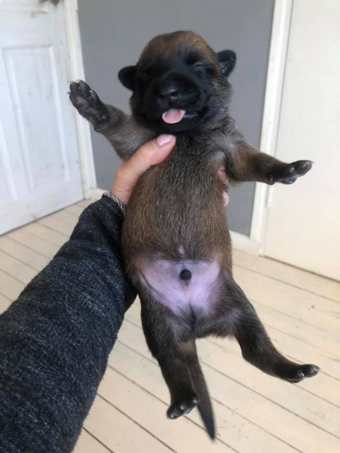 94128026_2851893818193762_2572177603435692032_n