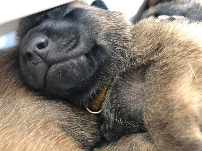 94561545_2864132373636573_3064536127214977024_n