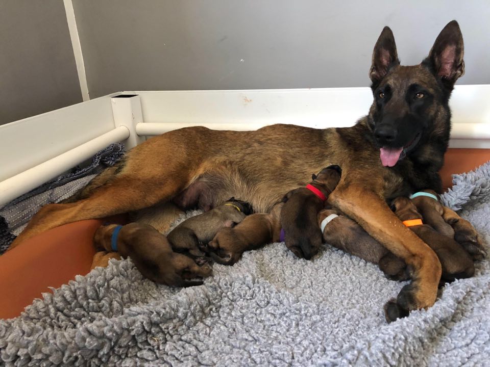 101963258_2947089272007549_5172183025831641088_n