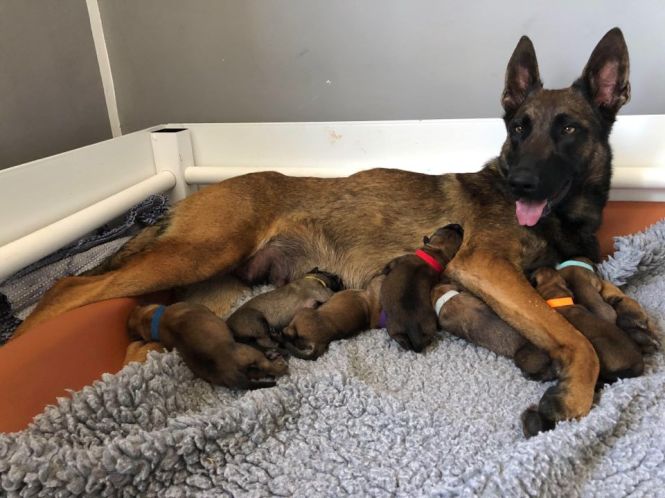 101963258_2947089272007549_5172183025831641088_n