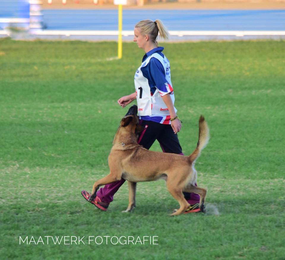 41758808_1798523336864154_7140241812291059712_n