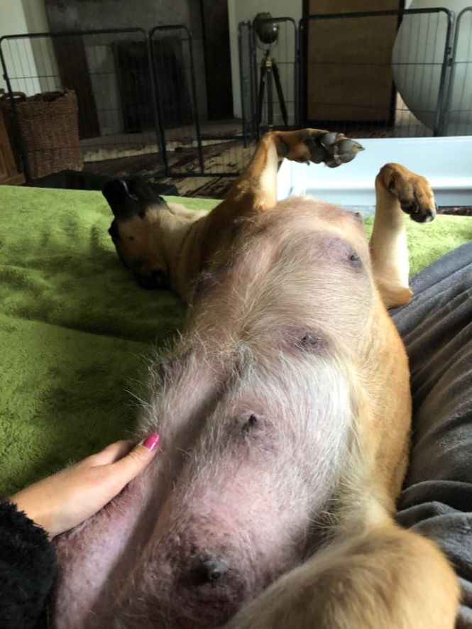 95366266_171730744066317_1282842641813209088_n